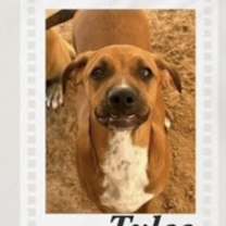Thumbnail photo of Tylee #1