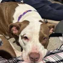 Thumbnail photo of Tia - Totally Terrific! #1
