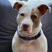Thumbnail photo of Tia - Totally Terrific! #2