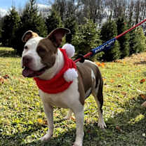 Thumbnail photo of Tia - Totally Terrific! #3