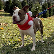 Thumbnail photo of Tia - Totally Terrific! #4