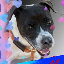 Thumbnail photo of Camilla #2