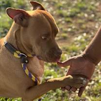 Thumbnail photo of Freddy #1