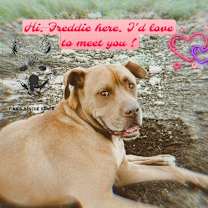 Thumbnail photo of Freddy #2
