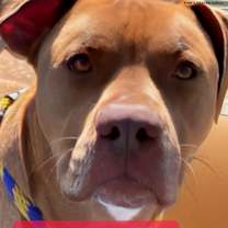 Thumbnail photo of Freddy #3