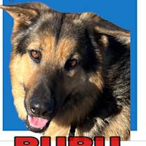 Thumbnail photo of RuRu #1
