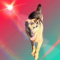 Thumbnail photo of RuRu #4