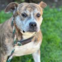 Thumbnail photo of ZIGGY #2