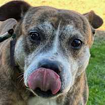 Thumbnail photo of ZIGGY #4
