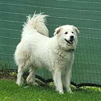 Thumbnail photo of Bonnie #1