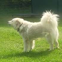 Thumbnail photo of Bonnie #2