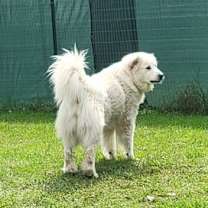Thumbnail photo of Bonnie #3