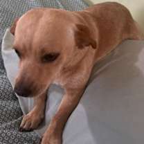 Thumbnail photo of Marley #3