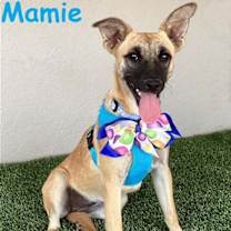 Thumbnail photo of Mamie #1