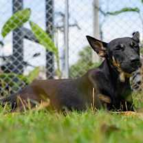 Thumbnail photo of Isaboo #3
