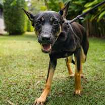 Thumbnail photo of Isaboo #4
