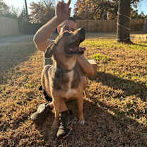 Thumbnail photo of Lou #2