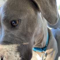 Thumbnail photo of Penny #1