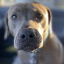 Thumbnail photo of Penny #2