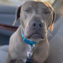 Thumbnail photo of Penny #3