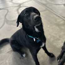 Thumbnail photo of Pio #2