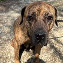Thumbnail photo of Paisley Adams #1