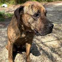 Thumbnail photo of Paisley Adams #2