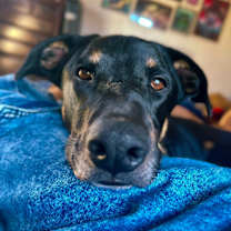 Thumbnail photo of Penny #3