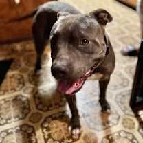 Thumbnail photo of Lucky #1