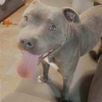 Thumbnail photo of Lucky #4