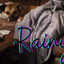 Thumbnail photo of Rainy (Courtesy Post) #3