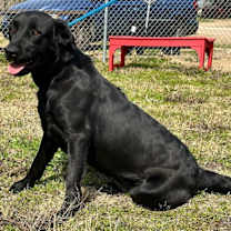 Thumbnail photo of Linnie #2