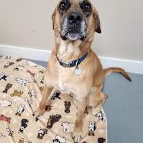 Thumbnail photo of Boon #4