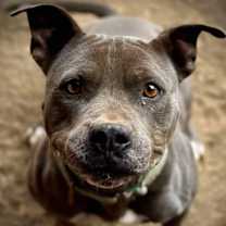 Thumbnail photo of Mayzie #3