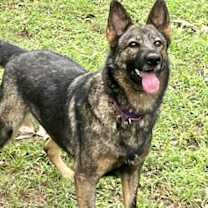 Thumbnail photo of Kela #1
