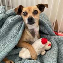 Thumbnail photo of Isabelle #4
