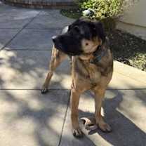 Thumbnail photo of Bandit #3