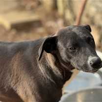 Thumbnail photo of Becky Jo #1