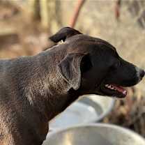 Thumbnail photo of Becky Jo #4