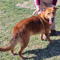 Thumbnail photo of Gunther #1