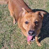 Thumbnail photo of Gunther #2