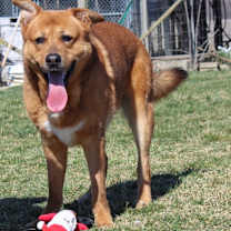 Thumbnail photo of Gunther #3