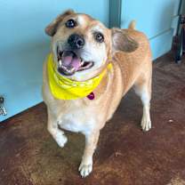 Thumbnail photo of Jelly Roll #1
