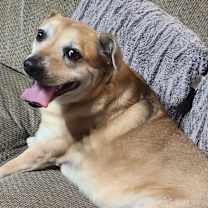 Thumbnail photo of Jelly Roll #2