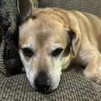 Thumbnail photo of Jelly Roll #4