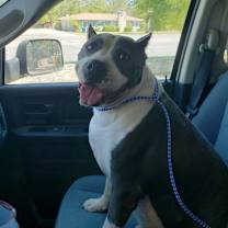 Thumbnail photo of Kody #3