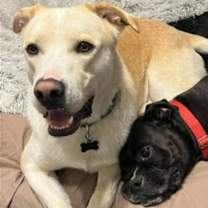 Thumbnail photo of Brody #2