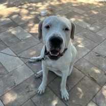 Thumbnail photo of WYATT #2