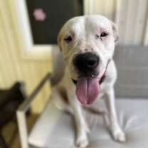 Thumbnail photo of WYATT #4