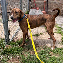 Thumbnail photo of Arnold(Charlie) #2